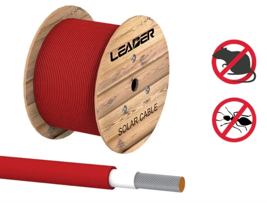 WhatsApp Image 2025-09-16 at 5.58.27 PM (1)